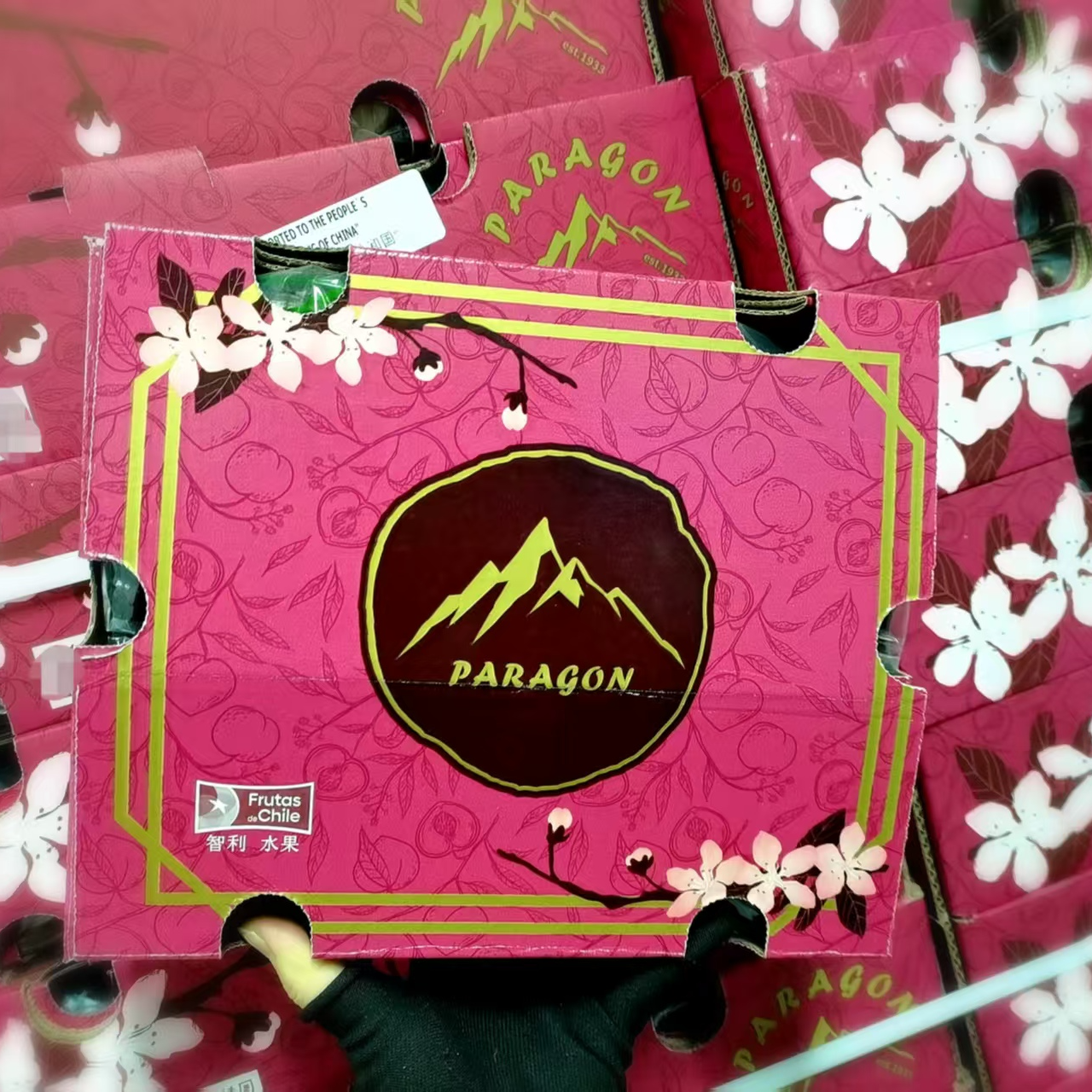 智利海运【4JD】甜阿雅娜车厘子2-5斤包邮内附果径卡