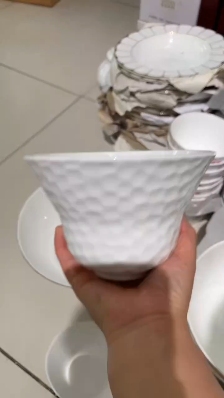 水立方碗隆达骨质瓷1个