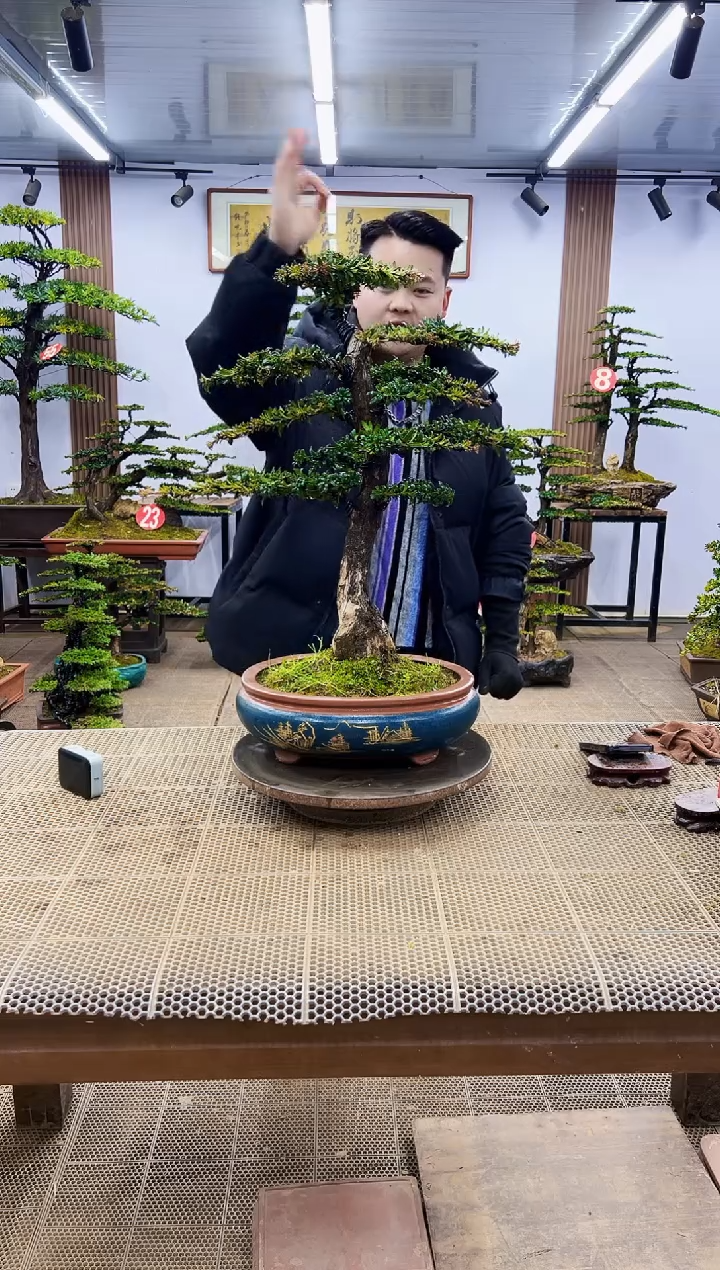 【闪购商品】00000000