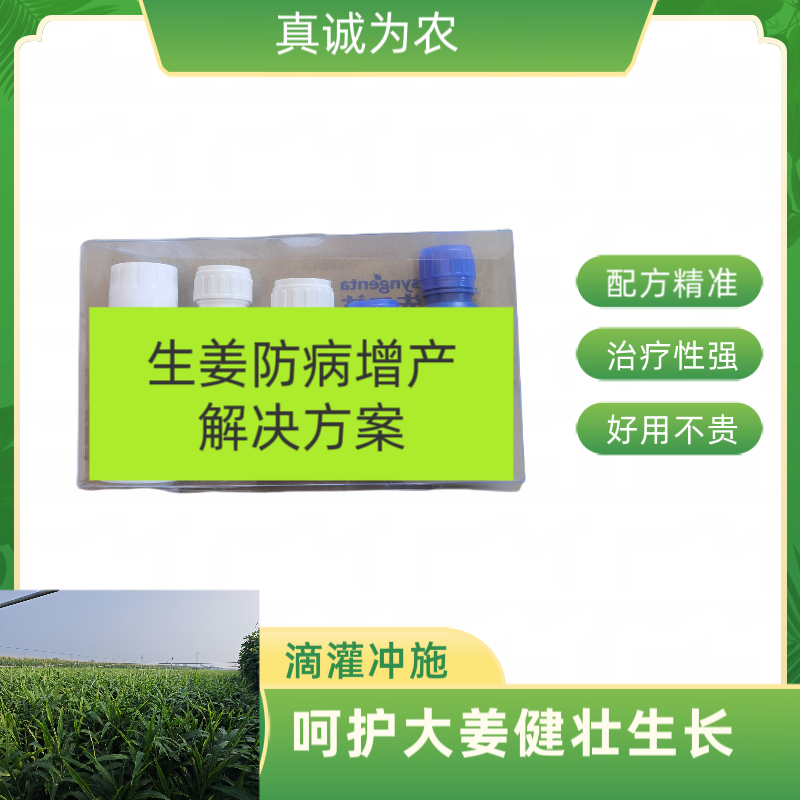 姜美乐防病增产方案包（具体内容实物为准）