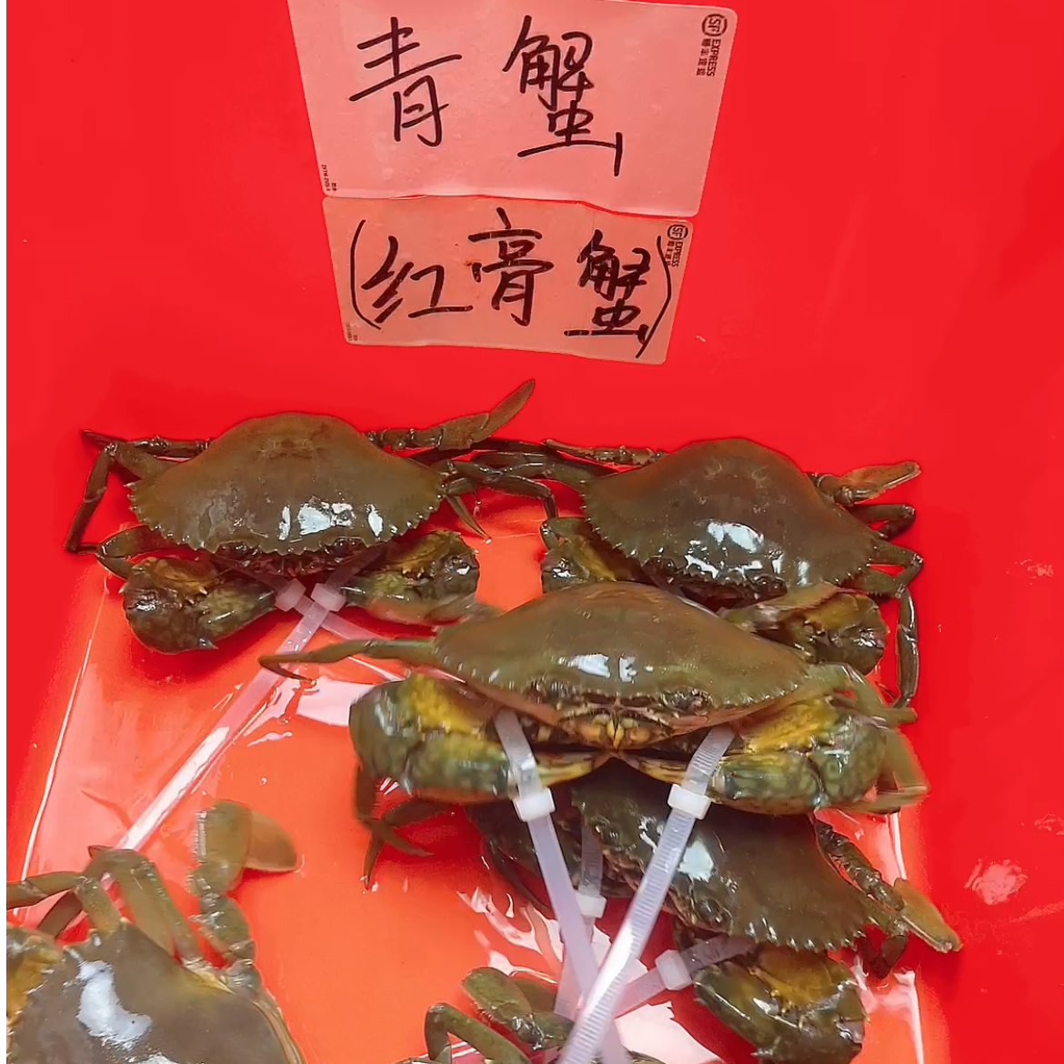 现称链接 东山岛青蟹  勿放冰箱