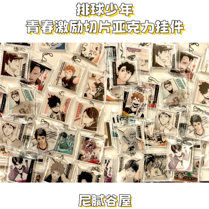 【排球少年】青春激励文件夹切片亚克力挂件盲抽代拆