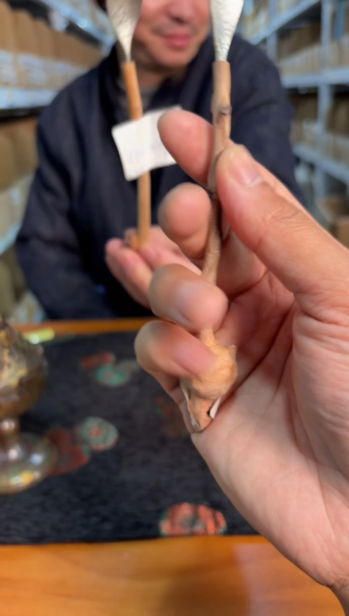 瓷片           @@JYF004