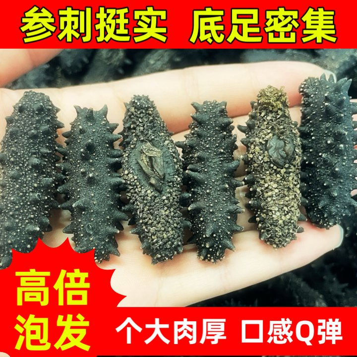 【专属优惠】正宗大连淡干海参深海辽刺参海参淡干海参高倍泡发率