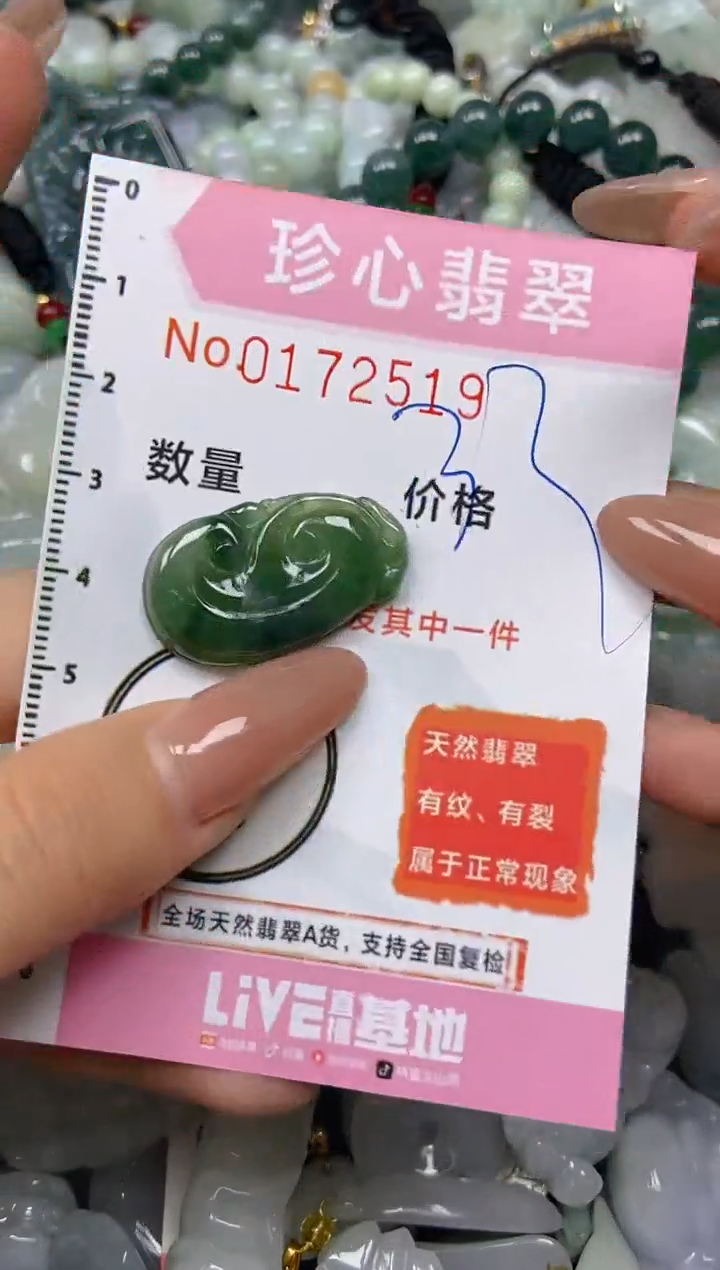 【闪购商品】翡翠颈饰未镶嵌闪购0172519