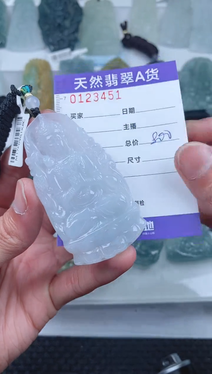 【闪购商品】翡翠颈饰未镶嵌        451