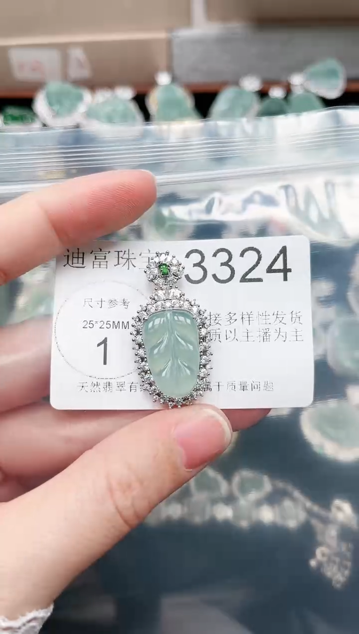 【闪购商品】翡翠颈饰未镶嵌赠皮绳3324