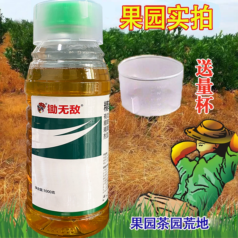 【送量杯】正品保障工厂直发小飞蓬水花生果园茶园荒地用药