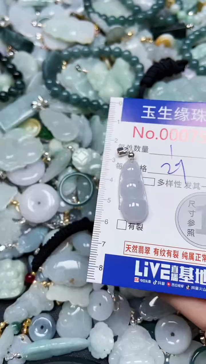 【闪购商品】翡翠颈饰未镶嵌闪购00007557