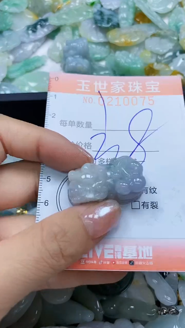 【闪购商品】翡翠颈饰未镶嵌闪购0210075