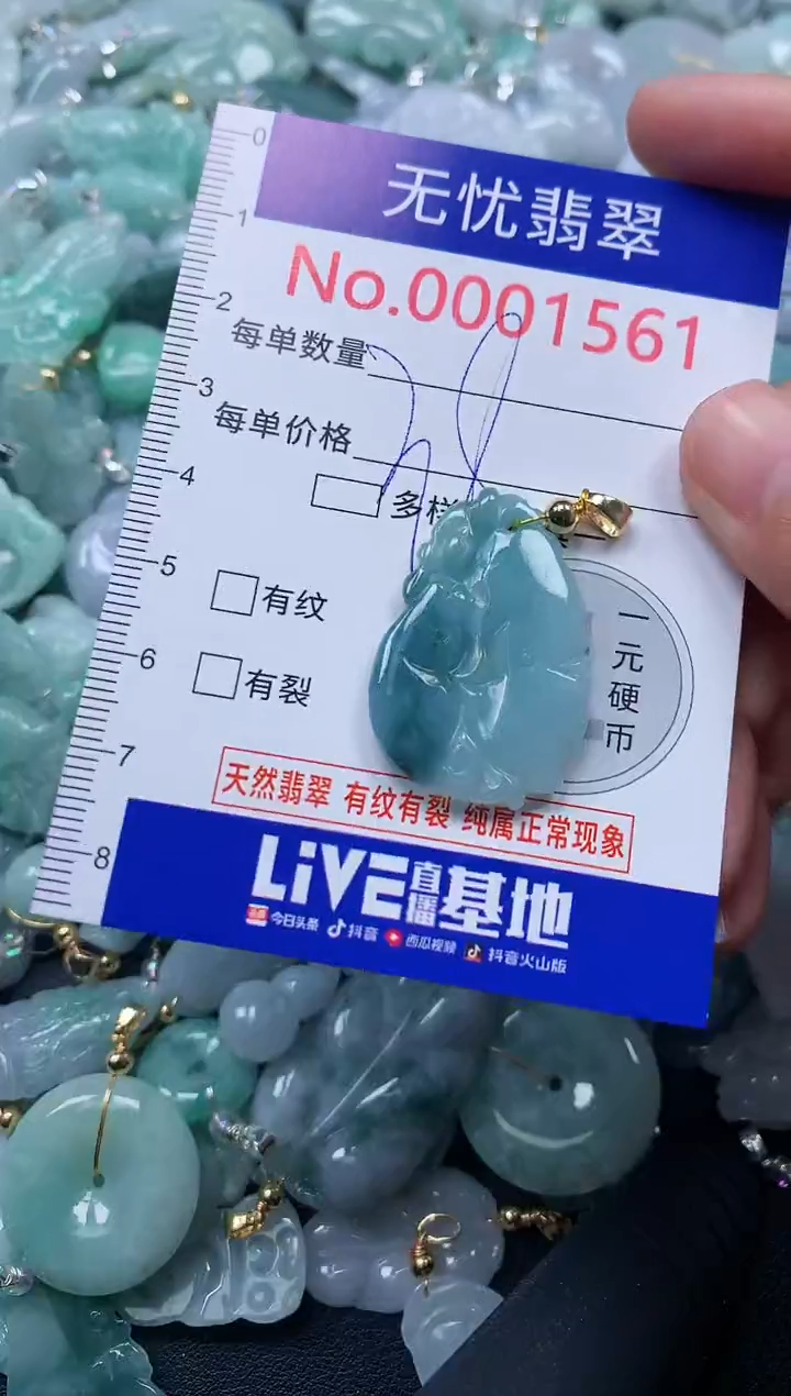 颈饰未镶嵌翡翠1561