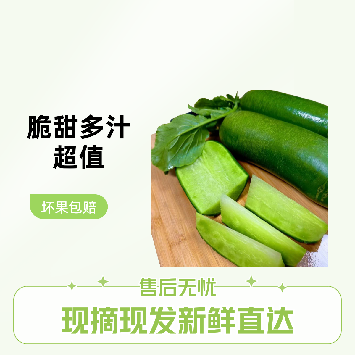 天津沙窝水果绿萝卜现摘脆甜   精品超值 顺丰直达 坏果包赔