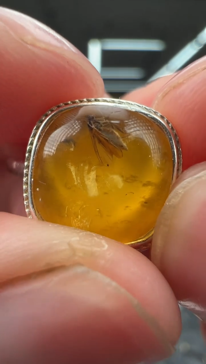 未镶嵌琥珀戒指戒指