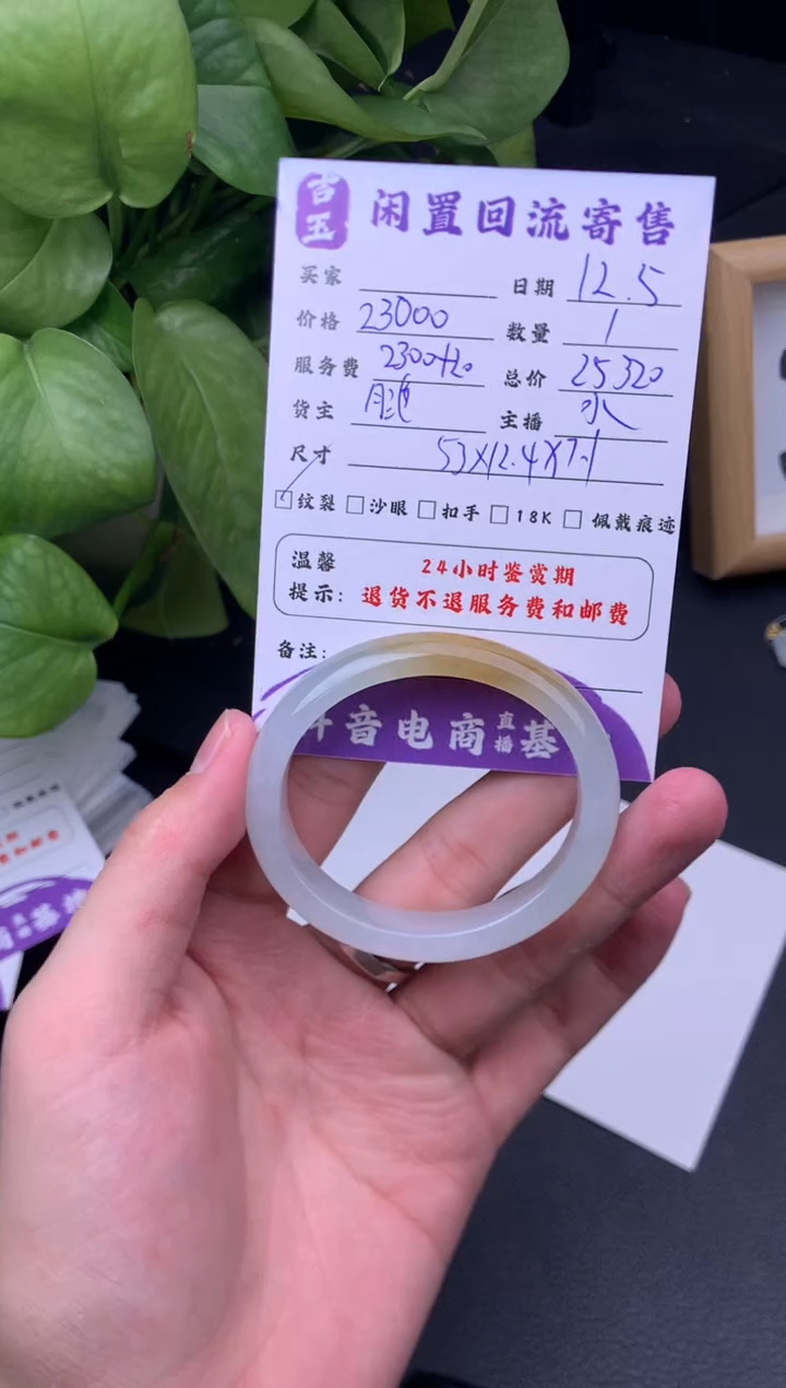 未镶嵌手镯翡翠手镯