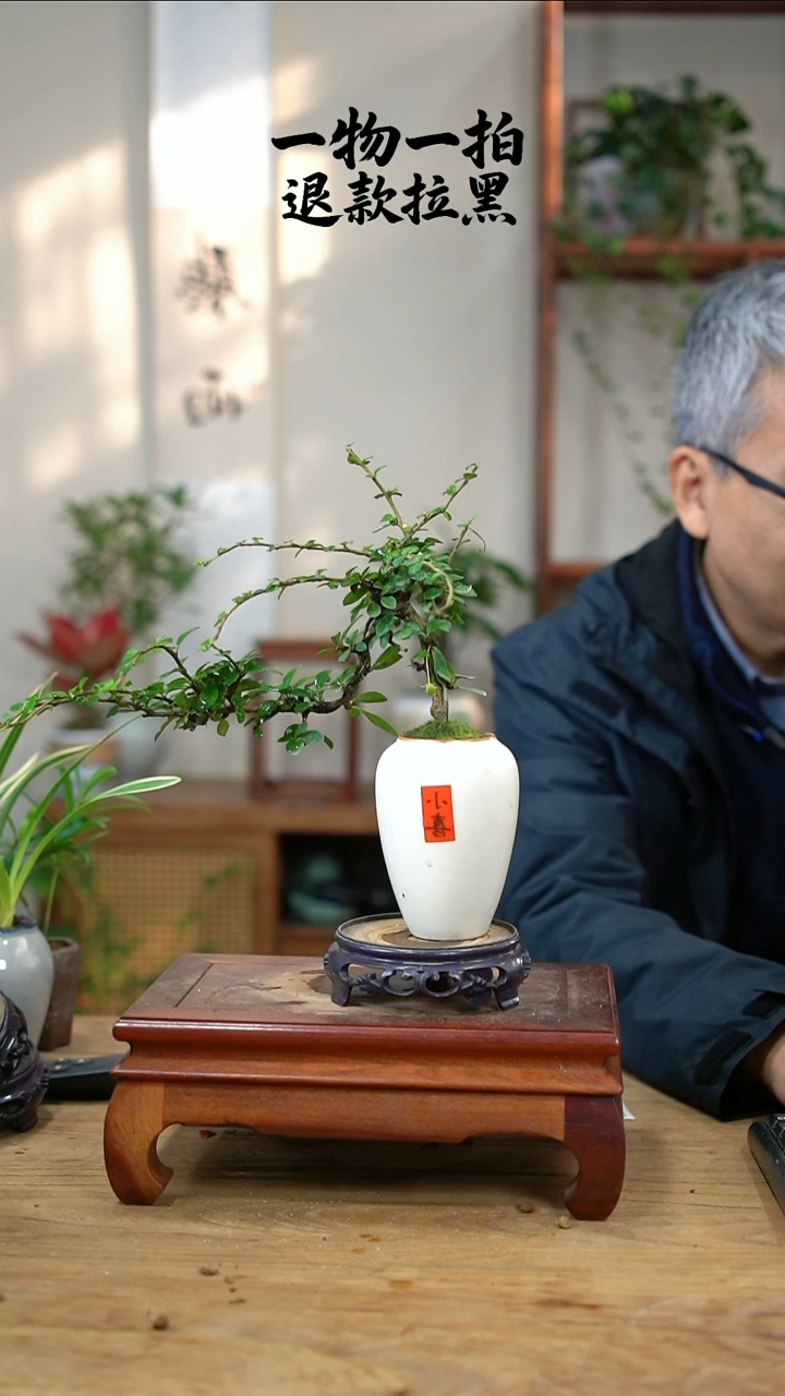 完全开放Y***?202福建茶