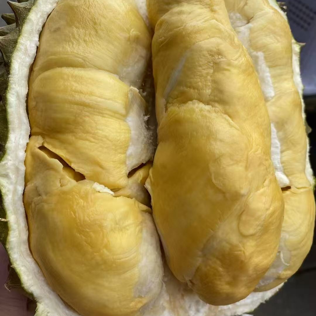 特价福利果肉，现开鲜榴莲核小【瑕疵肉不做售后】1.5斤起，介意慎拍榴莲同城送金枕泰国金枕泰国金枕泰国