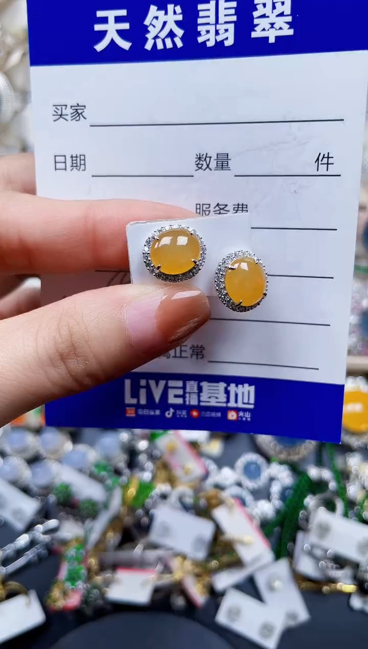 银S925镶嵌翡翠耳饰492