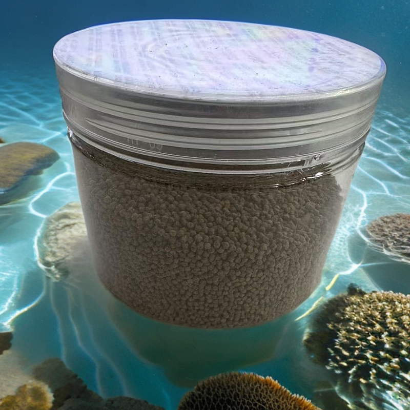 渔场自用 吊类 小丑类 仙类 海水鱼  高开口鱼粮