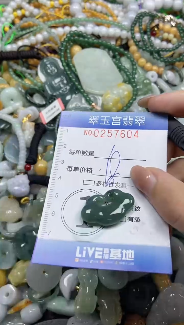 颈饰未镶嵌翡翠闪购C0257604