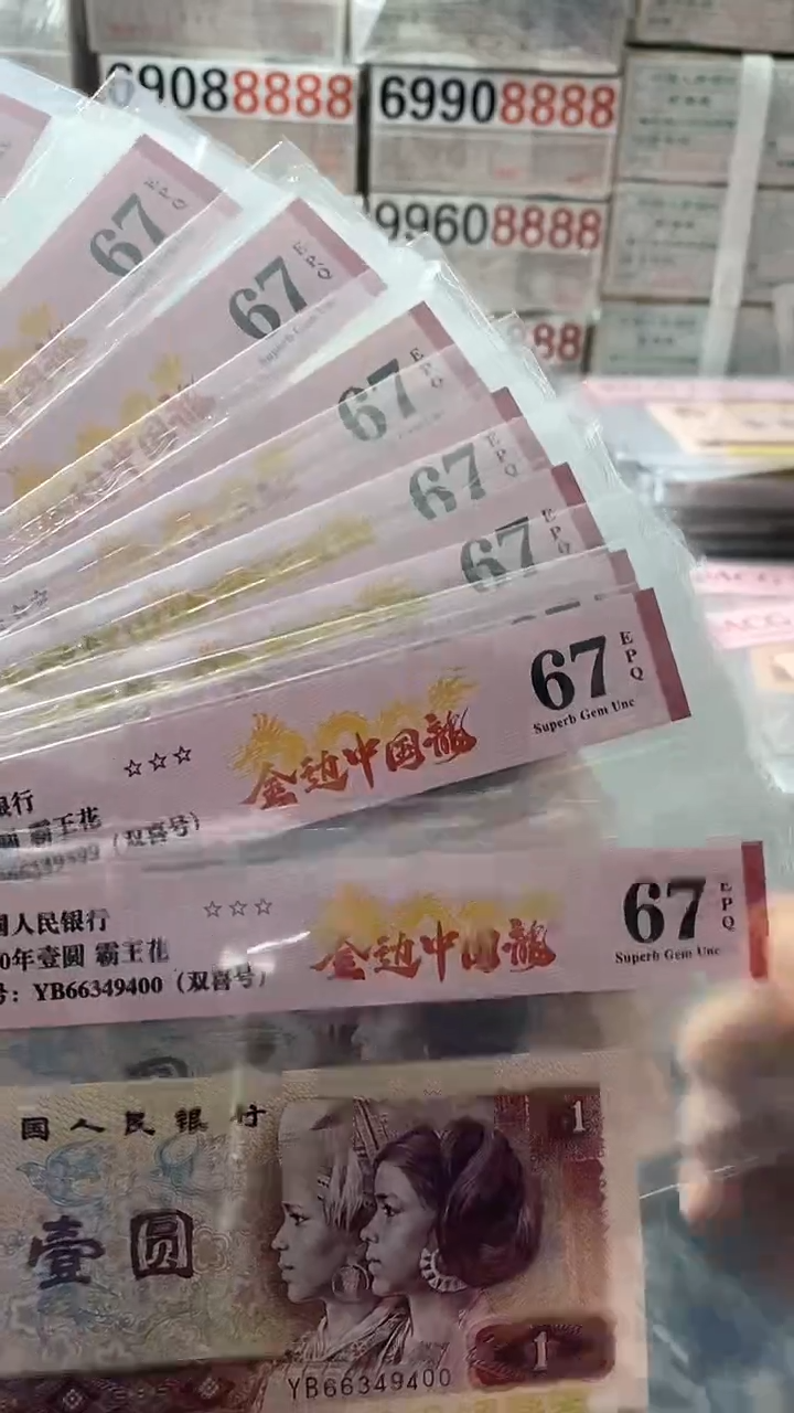 【闪购商品】同67801金边中国龙十连YB91—00