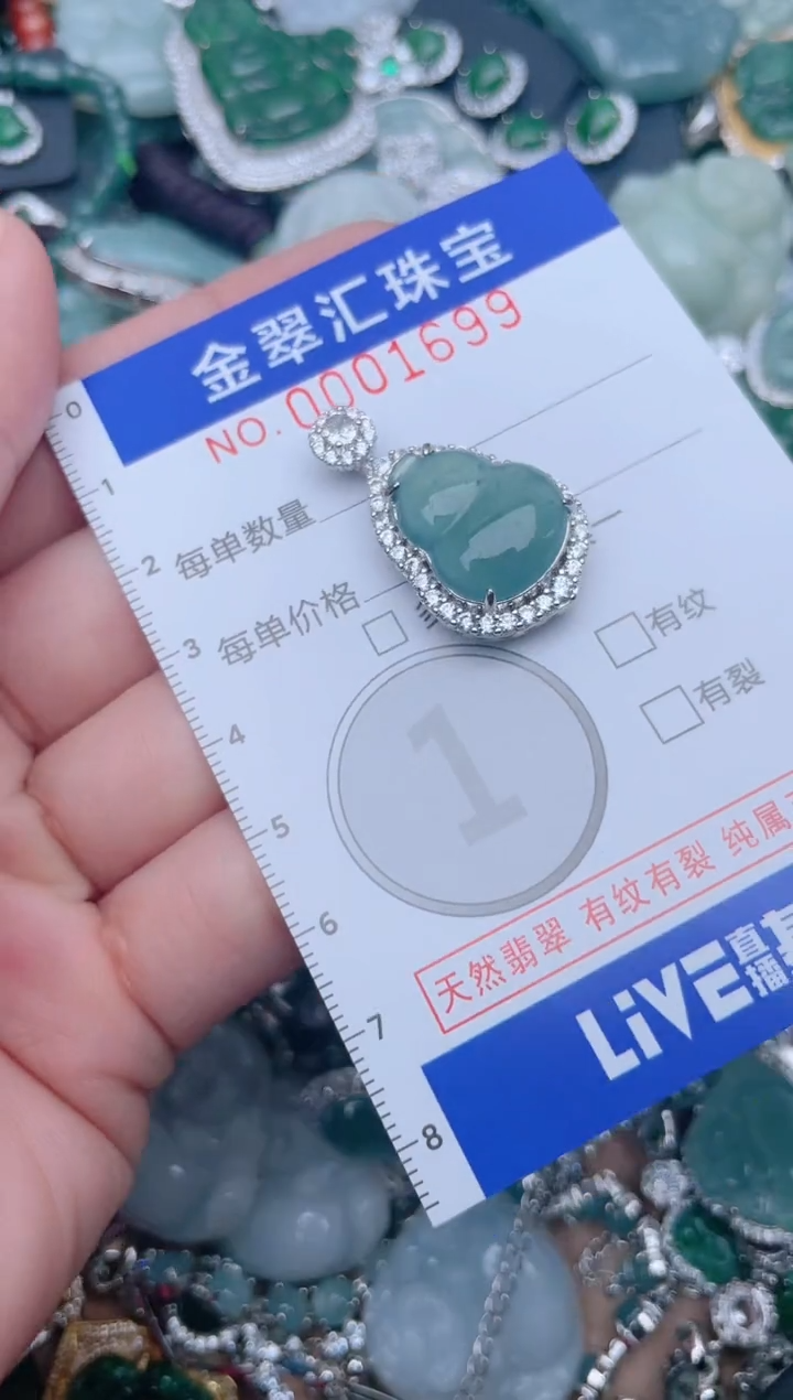 【闪购商品】翡翠颈饰未镶嵌1699....1