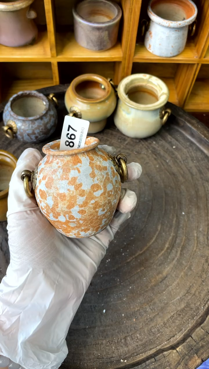 【闪购商品】陶867