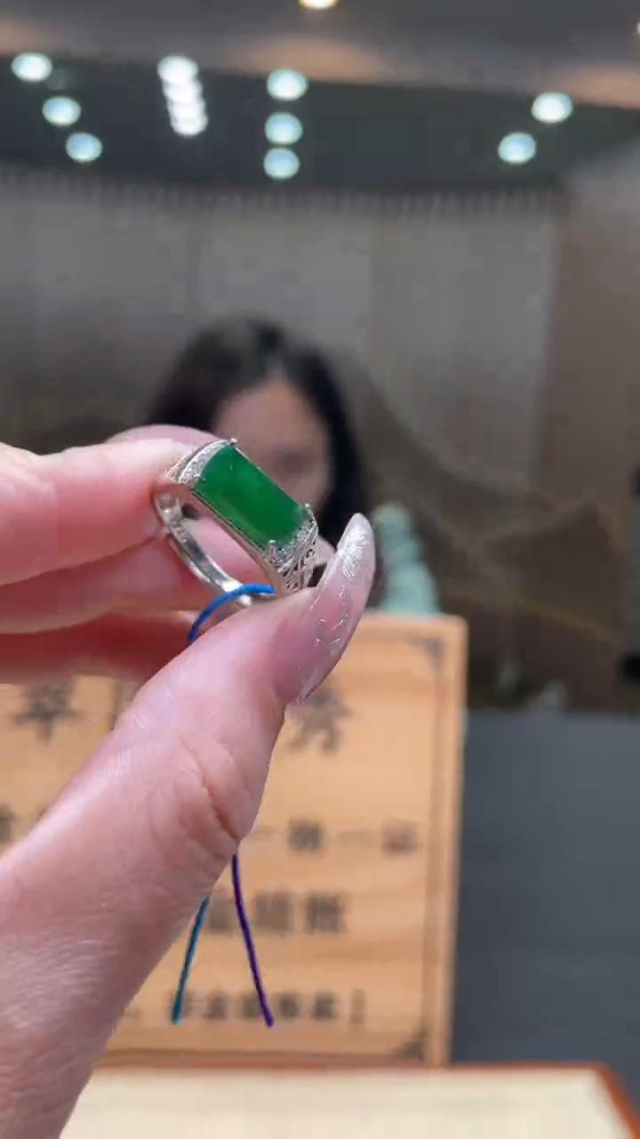 【闪购商品】翡翠颈饰未镶嵌      *89