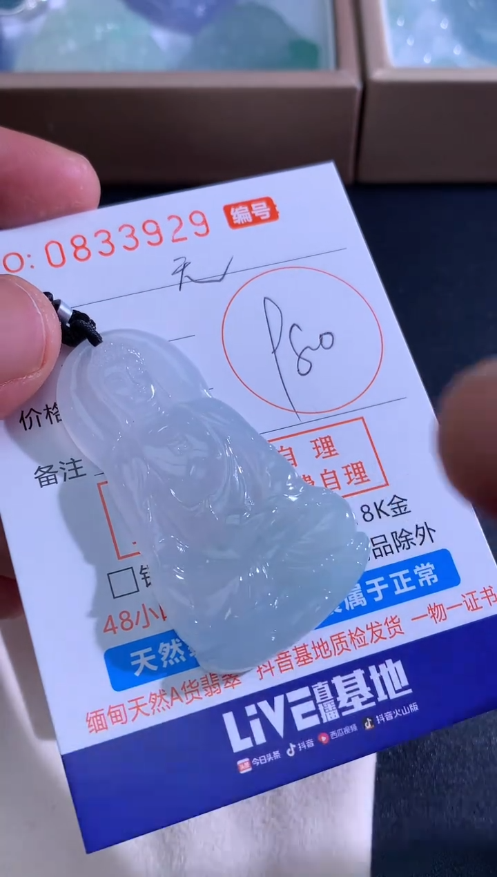 颈饰未镶嵌翡翠天**鹏天
