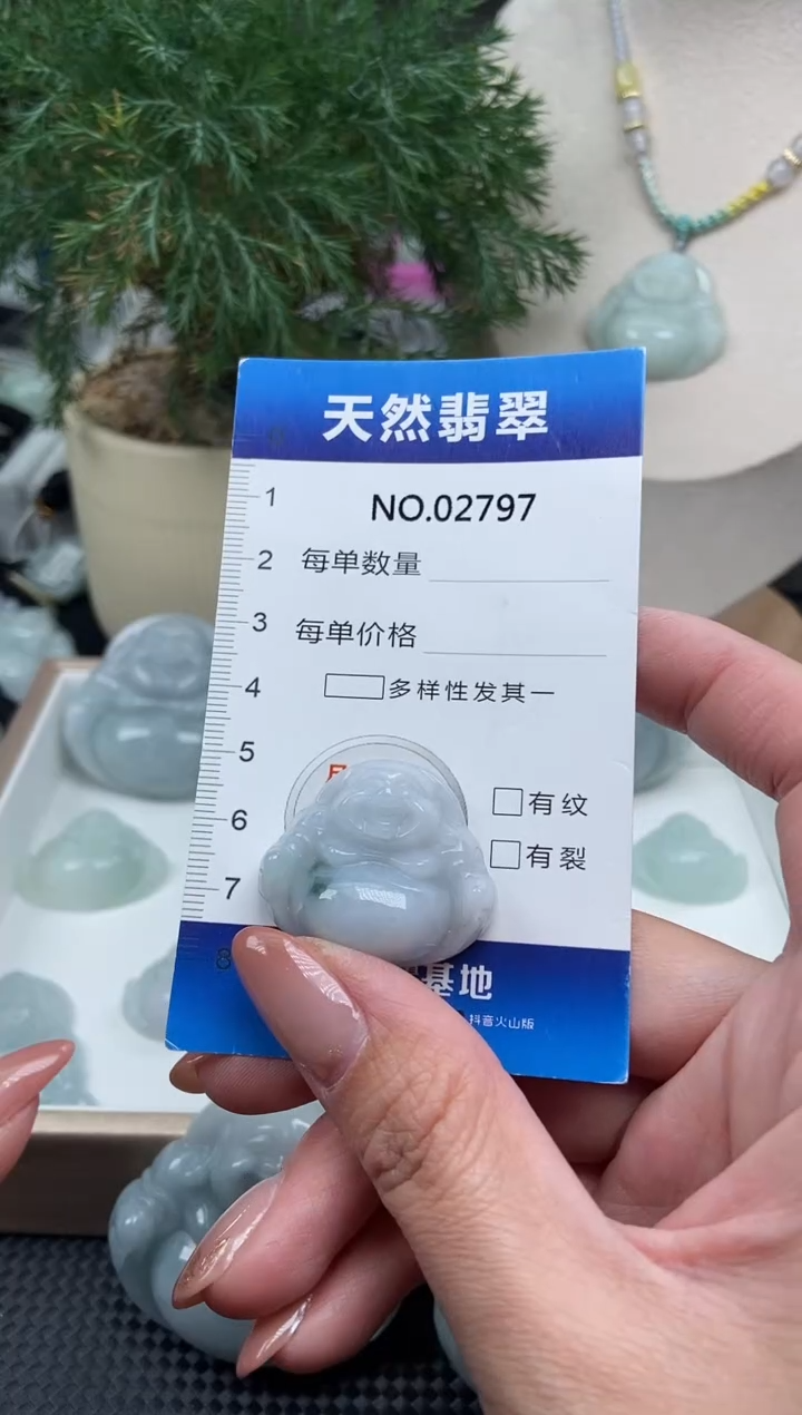 颈饰未镶嵌翡翠纯天然A货翡翠2797