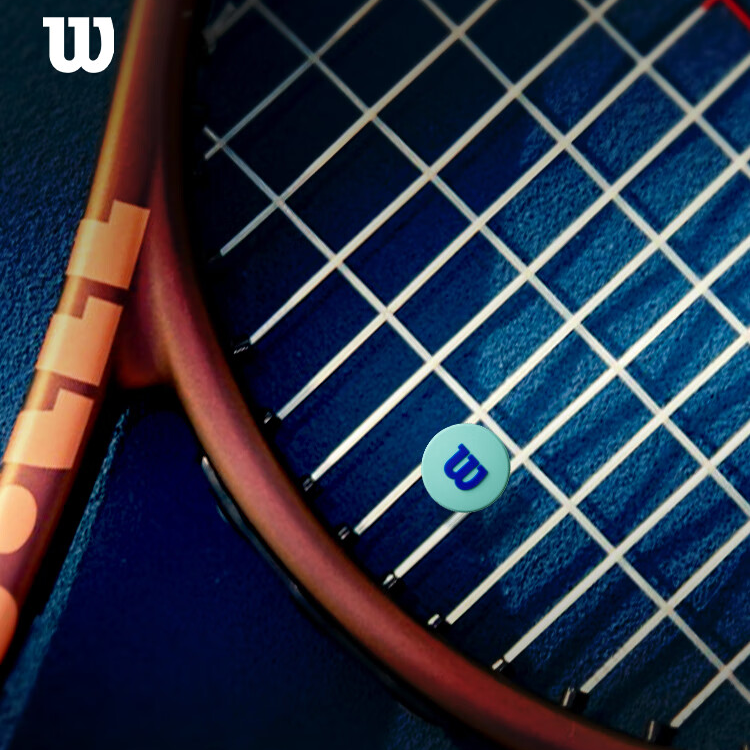 Wilson/威尔胜网球拍减震器法网联名卡装训练网球避震器专业运动