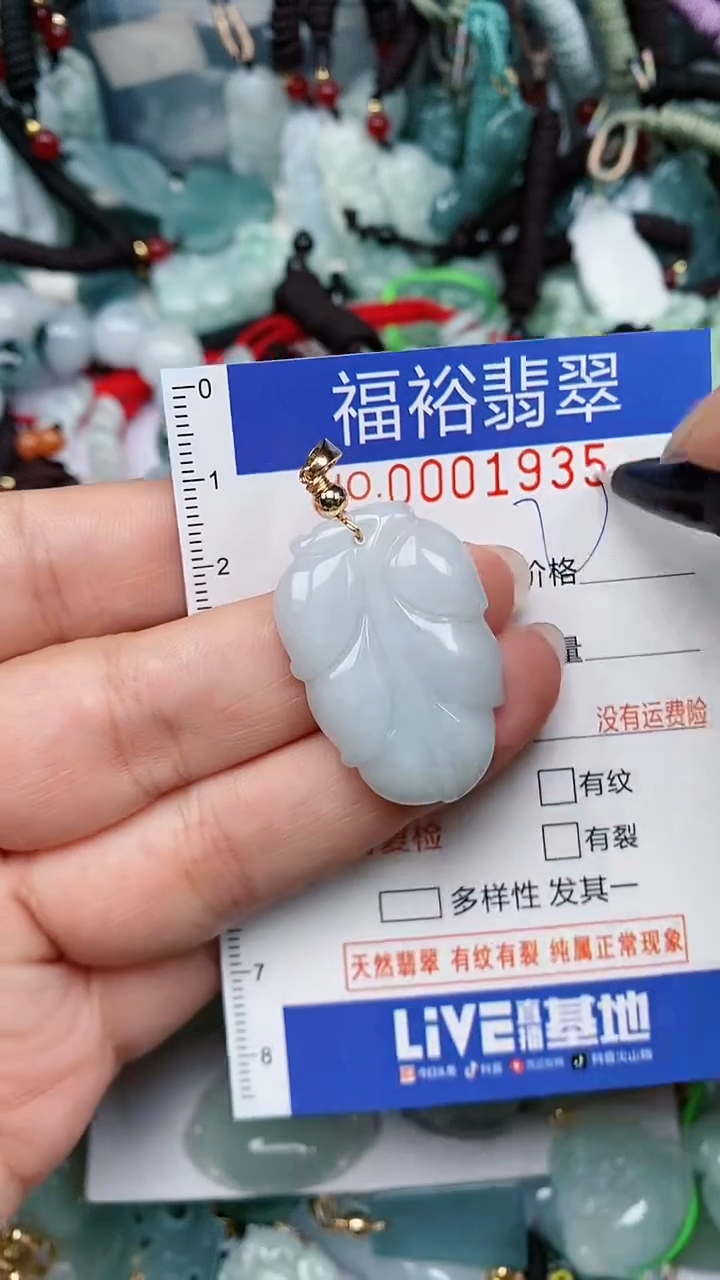 翡翠未镶嵌颈饰...0001935