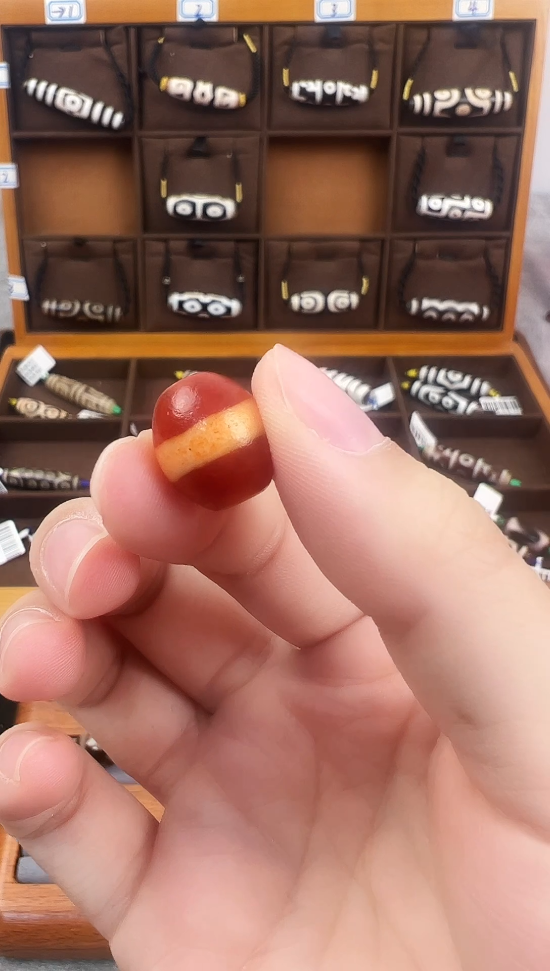 玛瑙/玉髓（覆膜）颈饰未镶嵌194微瑕