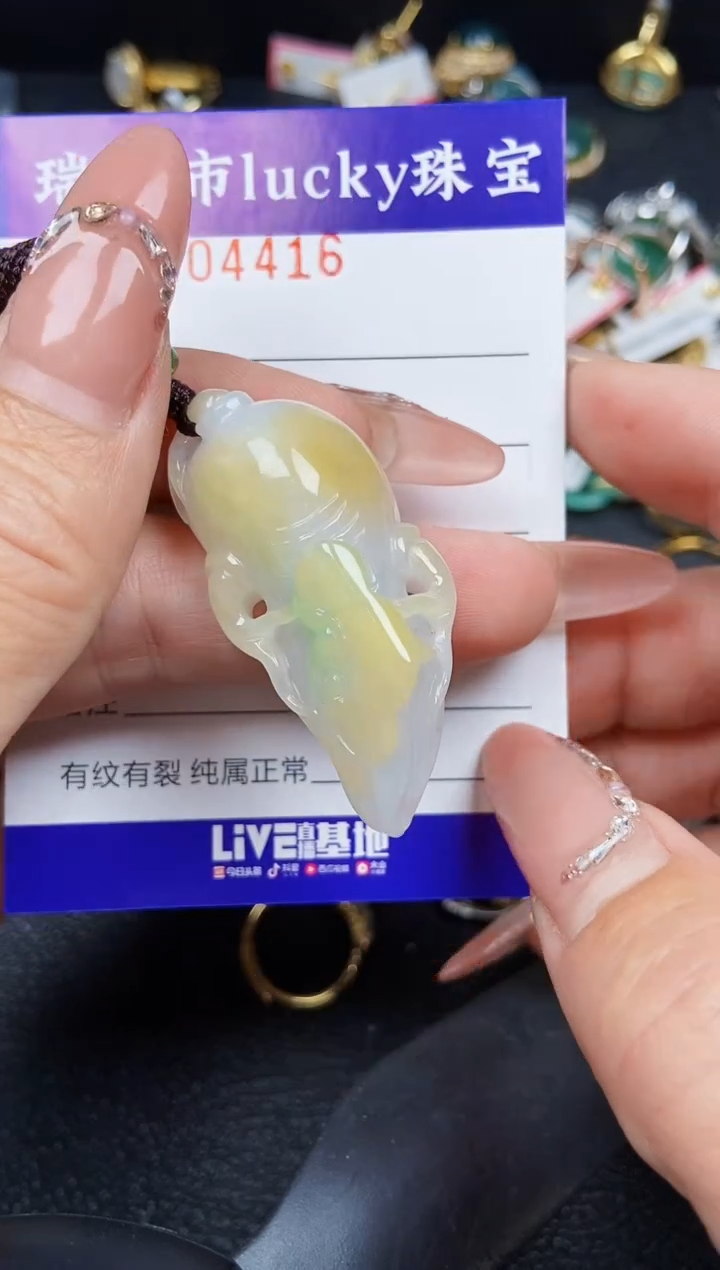 翡翠未镶嵌颈饰4416裸石