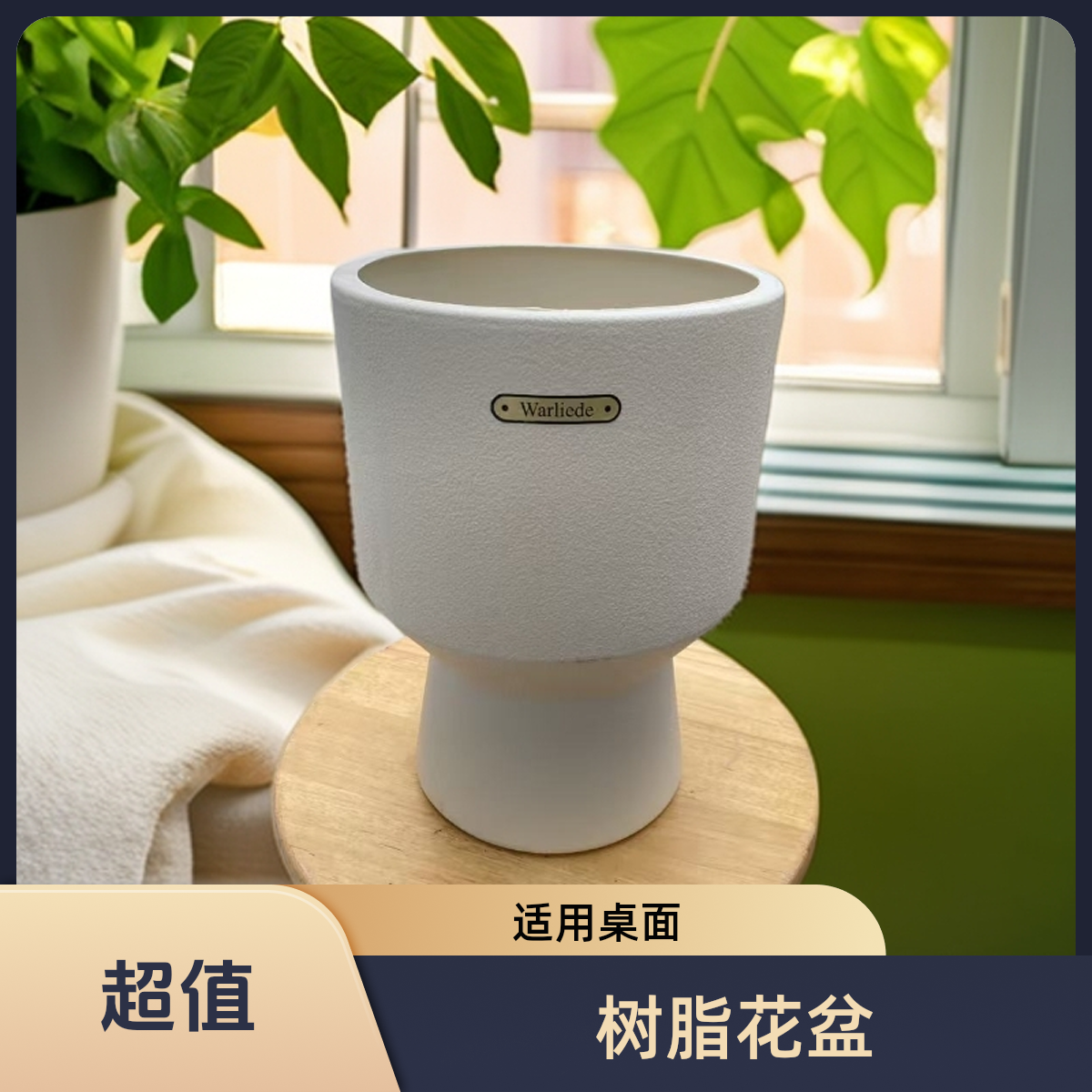 创意 树脂花盆 简约风格 带滤水口 适合桌面 办公室  造型好看