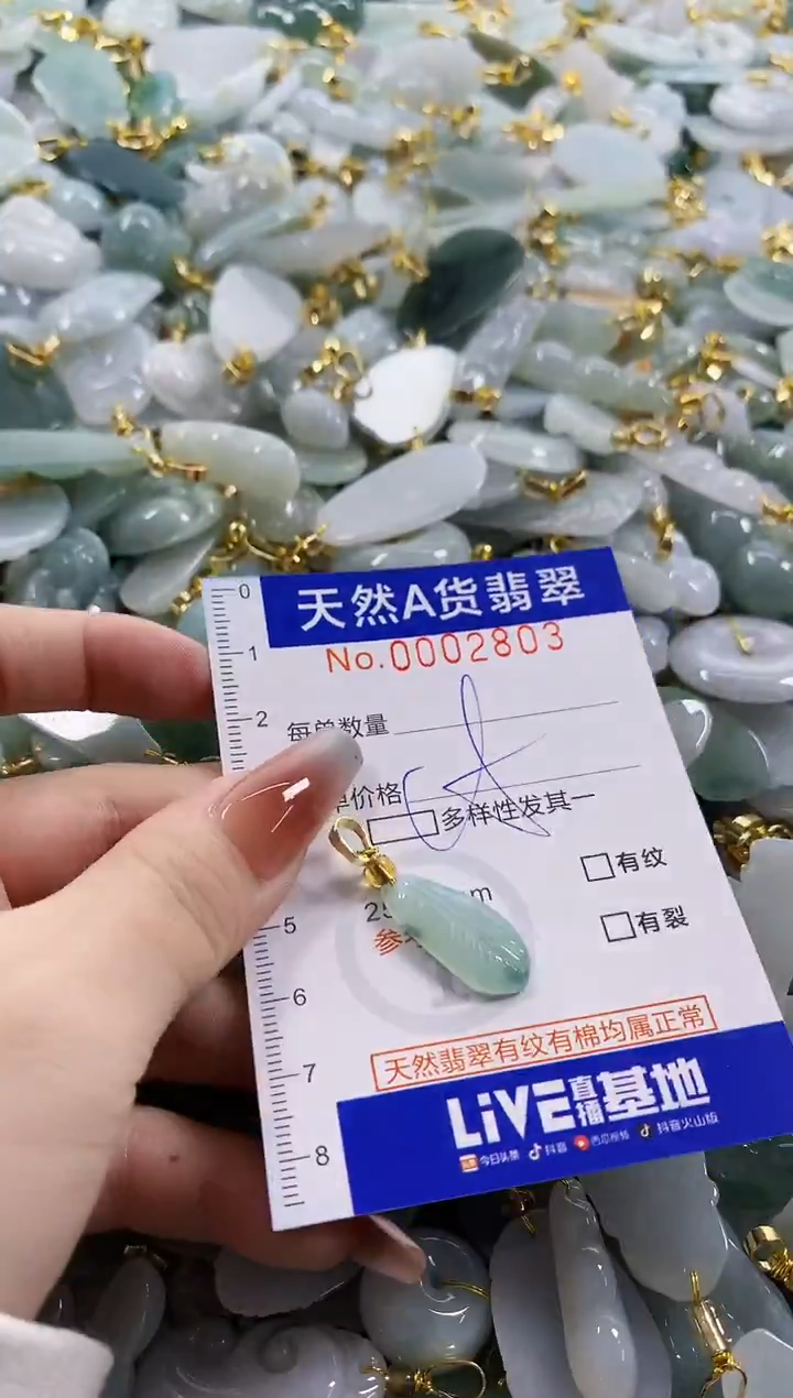 颈饰未镶嵌翡翠天然A货翡翠
