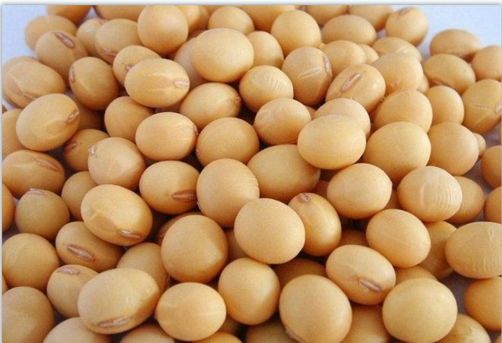 偏二哥山货农家黄豆