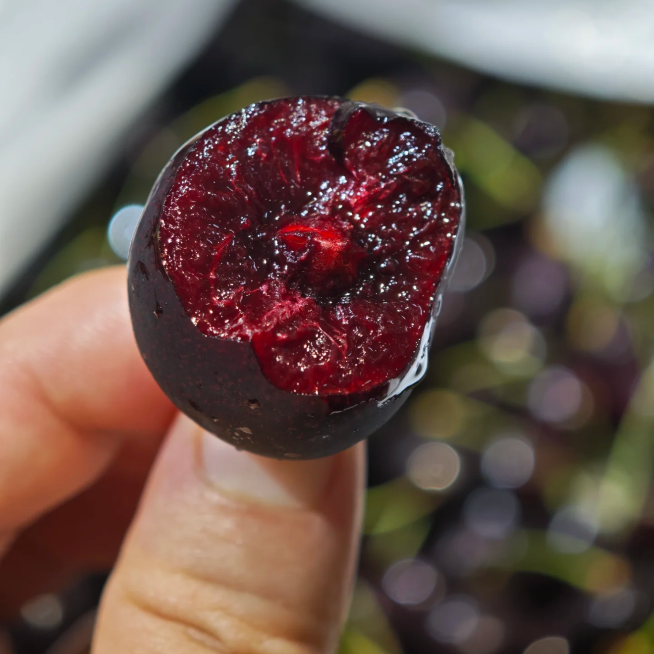 【车厘子】空运 科迪亚2JD  硬脆甜   分装 2斤 内附果径卡