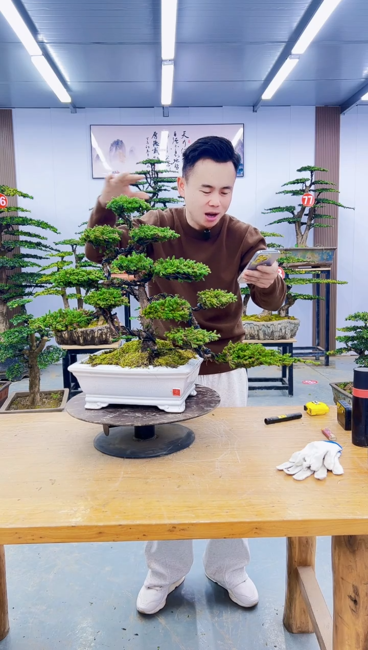 无花朵00000000000000