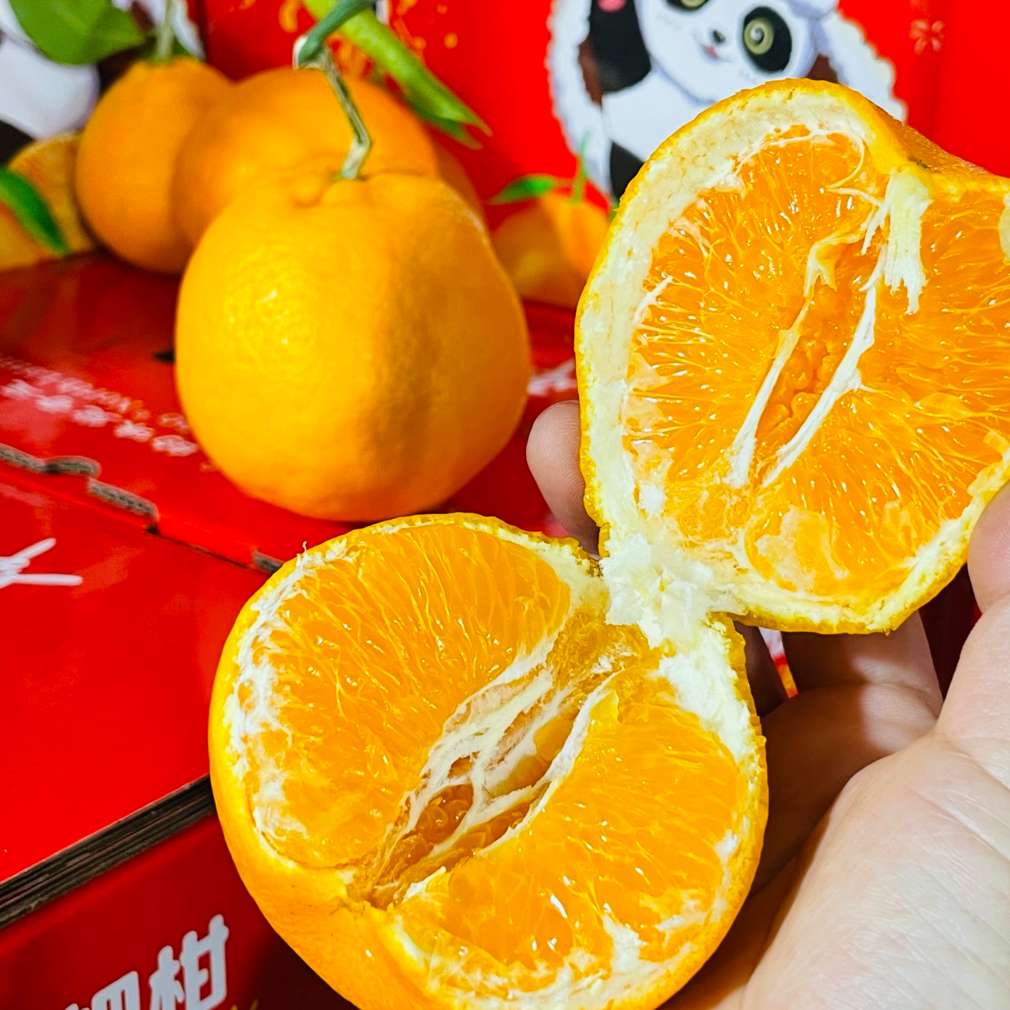 【爆汁耙耙柑】皮薄肉厚~汁水炸弹！5斤吉林省