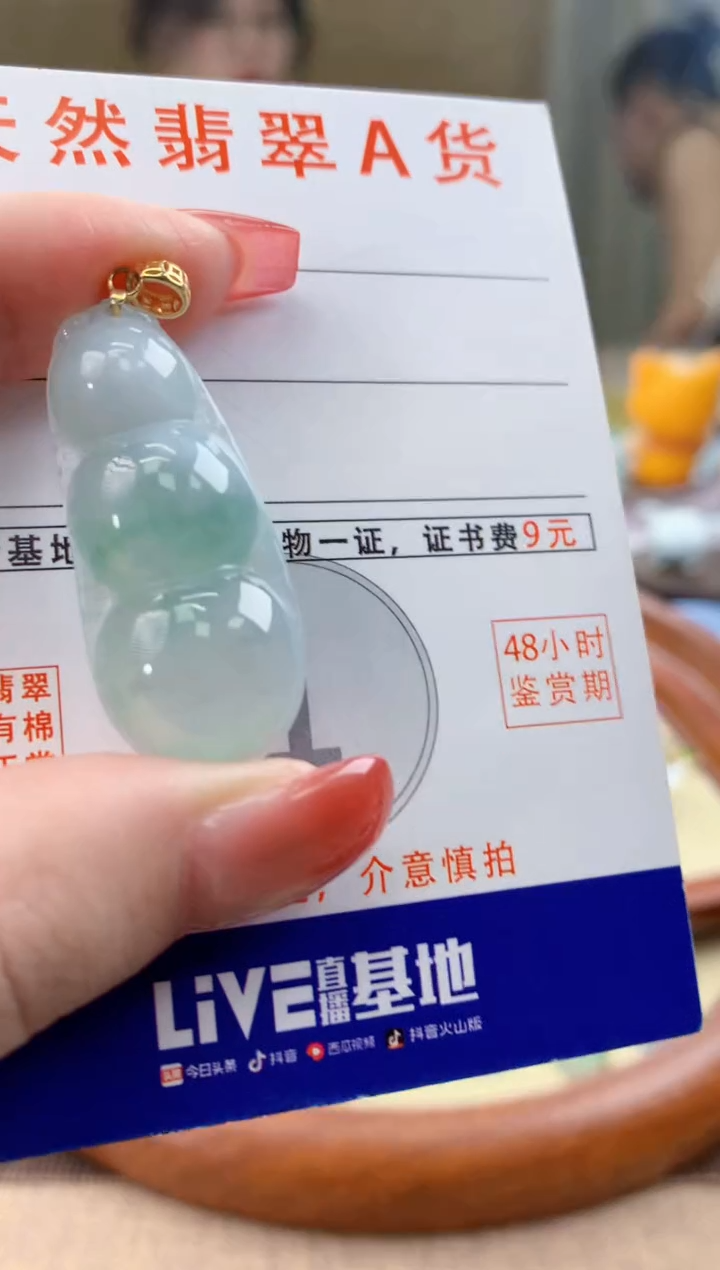 颈饰未镶嵌翡翠天然A货翡翠挂件