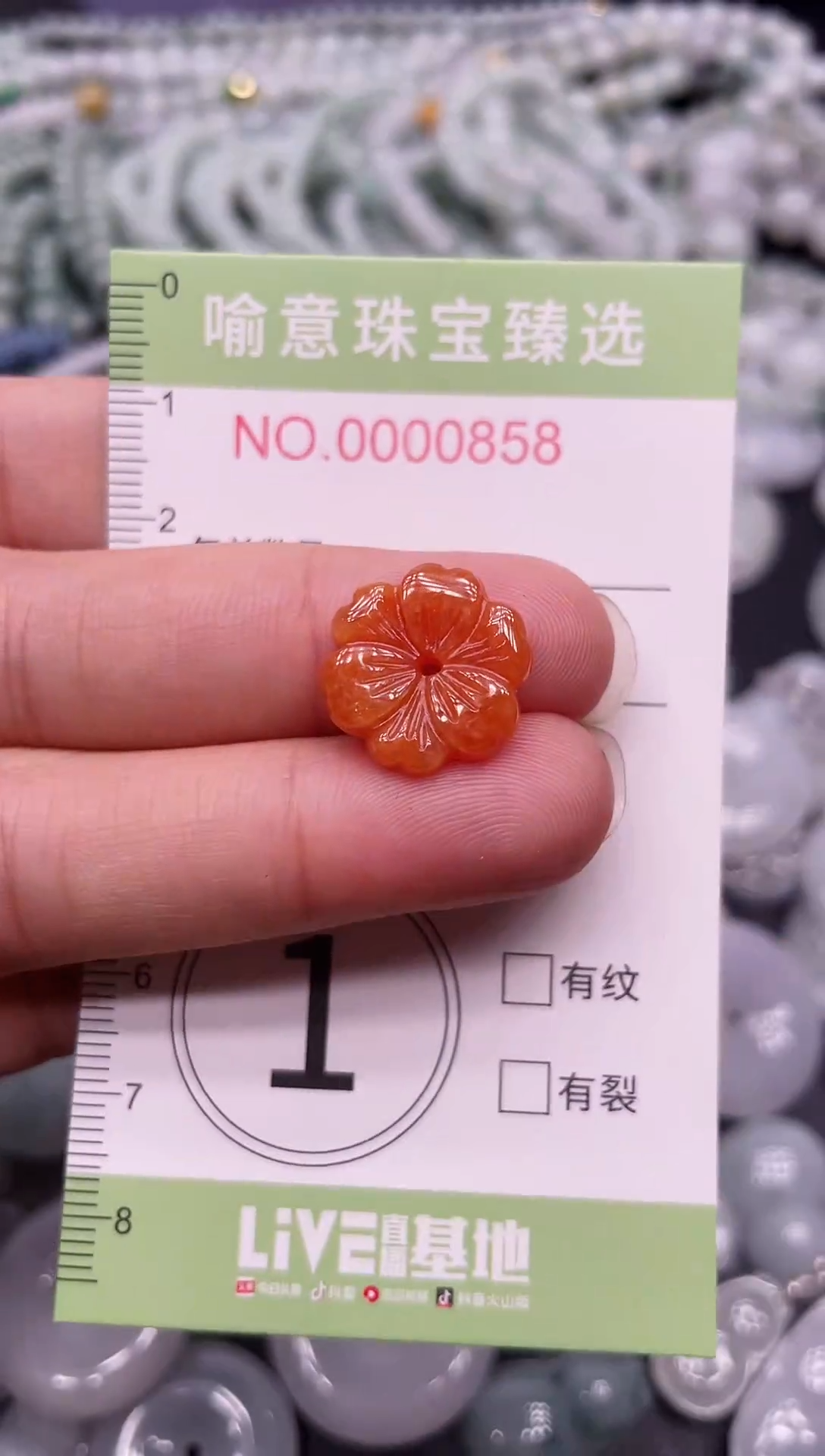 颈饰未镶嵌翡翠106
