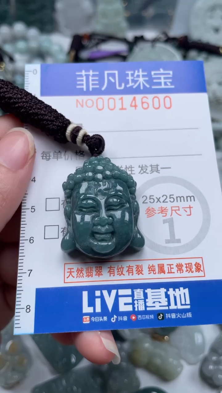 颈饰未镶嵌翡翠14600