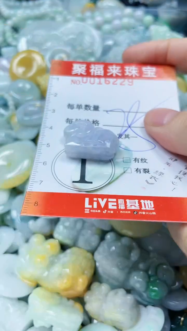 【闪购商品】翡翠颈饰未镶嵌闪购0016229