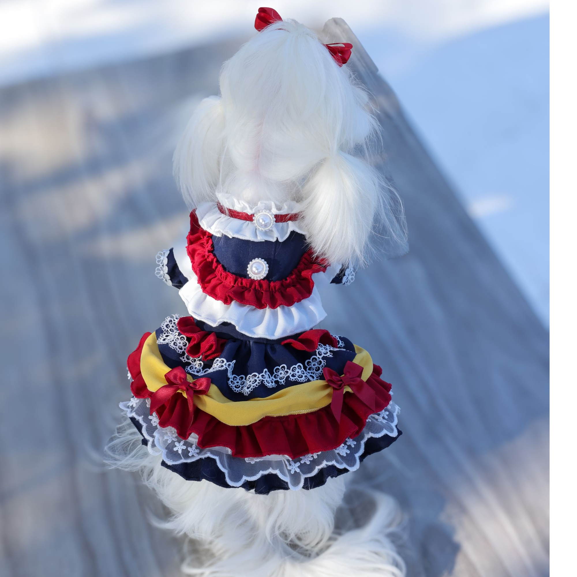 GemPaws原创重工宠物洛丽塔裙子宠物蓬蓬裙宠物亲子裙秋冬款