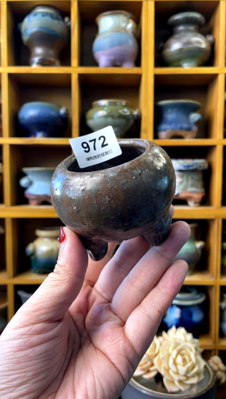 【闪购商品】陶972 内口5【 来自成人礼的特 】