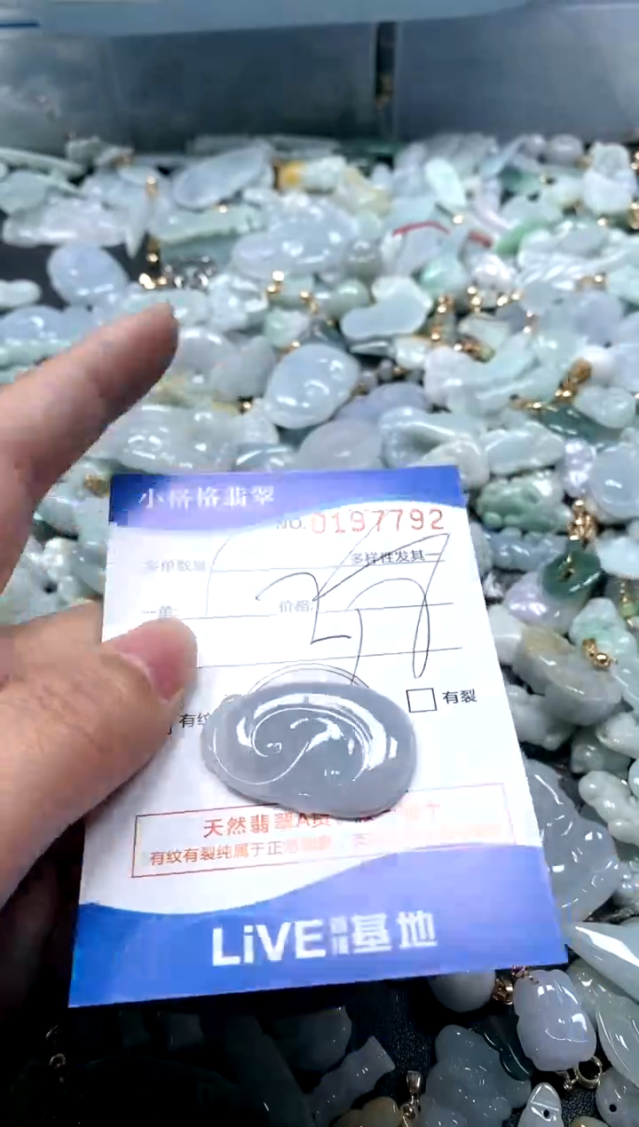 【闪购商品】翡翠颈饰未镶嵌闪购商品0197792
