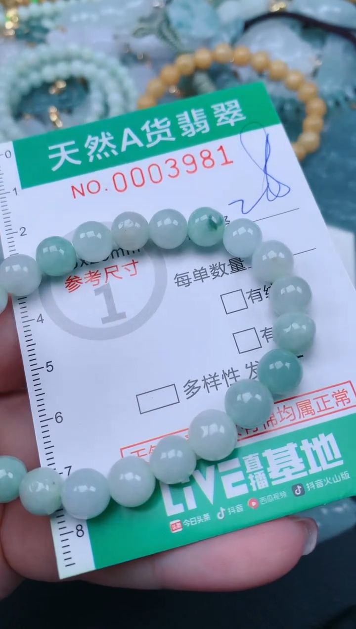 翡翠未镶嵌颈饰.0003981