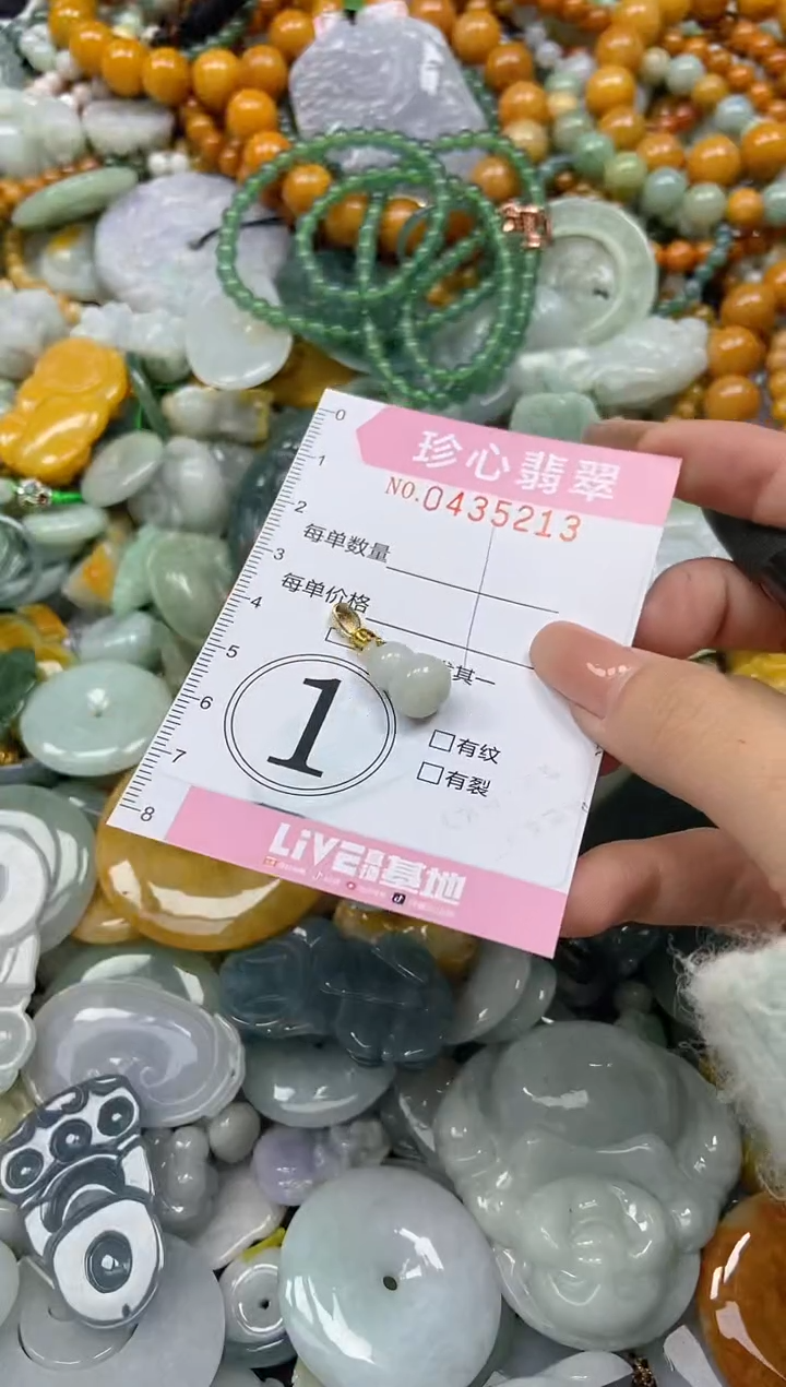 颈饰未镶嵌翡翠闪购0435213