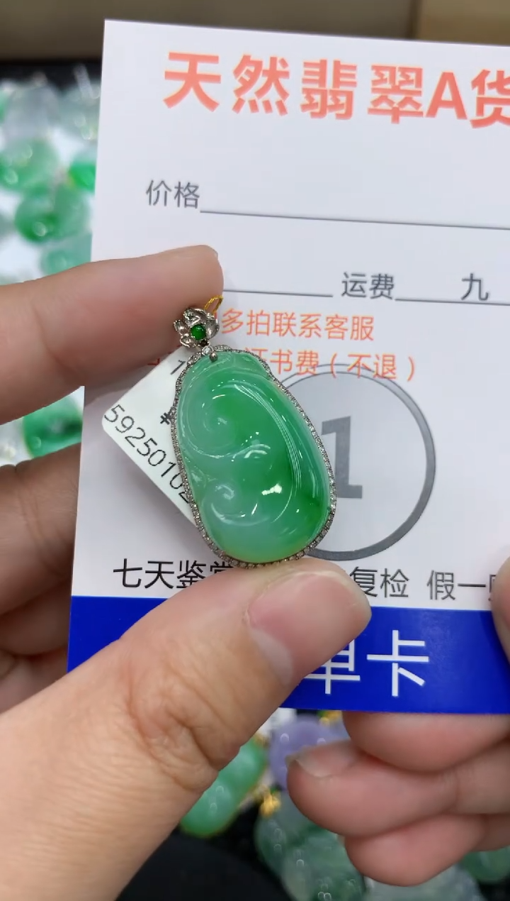 【闪购商品】翡翠颈饰18K金镶嵌111111111111