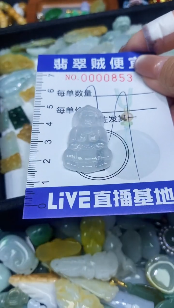 【闪购商品】翡翠颈饰未镶嵌闪购0000853